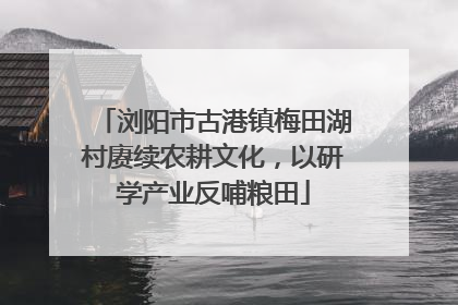 浏阳市古港镇梅田湖村赓续农耕文化，以研学产业反哺粮田