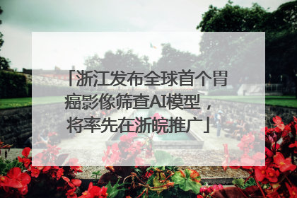 浙江发布全球首个胃癌影像筛查AI模型，将率先在浙皖推广