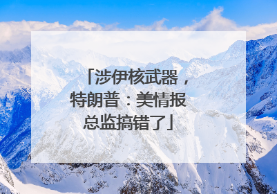 涉伊核武器，特朗普：美情报总监搞错了