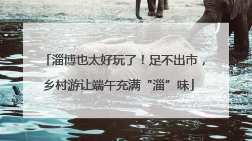 淄博也太好玩了！足不出市，乡村游让端午充满“淄”味