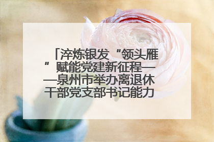 淬炼银发“领头雁”赋能党建新征程——泉州市举办离退休干部党支部书记能力建设专题培训