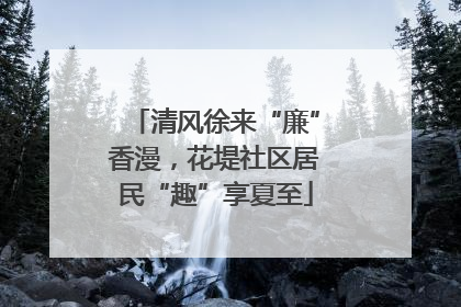 清风徐来“廉”香漫，花堤社区居民“趣”享夏至