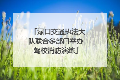 渌口交通执法大队联合多部门举办驾校消防演练