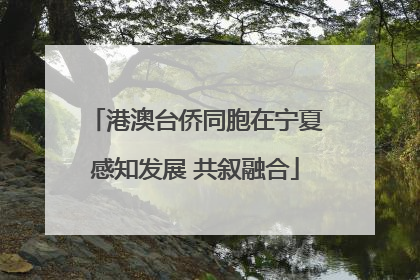 港澳台侨同胞在宁夏感知发展 共叙融合