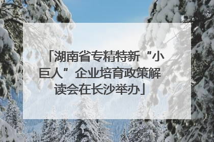 湖南省专精特新“小巨人”企业培育政策解读会在长沙举办