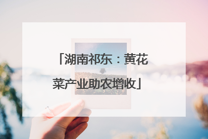 湖南祁东：黄花菜产业助农增收