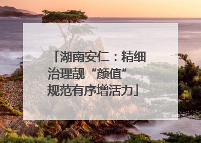 湖南安仁：精细治理靓“颜值” 规范有序增活力