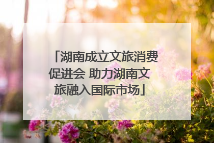 湖南成立文旅消费促进会 助力湖南文旅融入国际市场