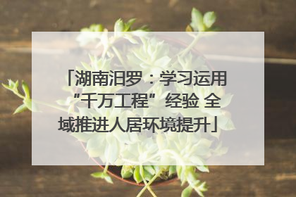 湖南汨罗：学习运用“千万工程”经验 全域推进人居环境提升