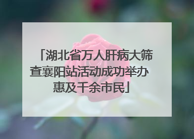 湖北省万人肝病大筛查襄阳站活动成功举办 惠及千余市民