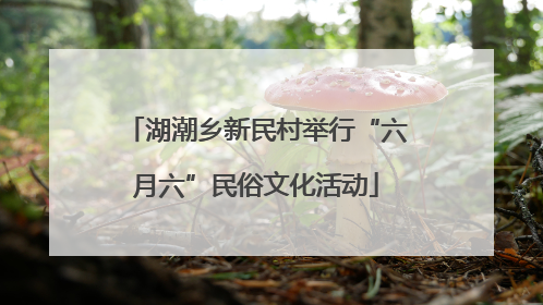 湖潮乡新民村举行“六月六”民俗文化活动