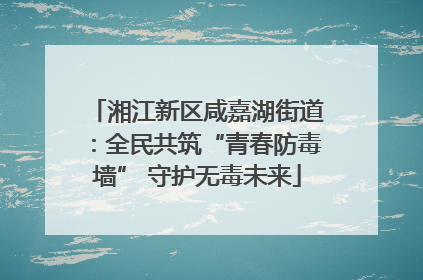 湘江新区咸嘉湖街道：全民共筑“青春防毒墙” 守护无毒未来