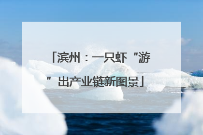 滨州：一只虾“游”出产业链新图景