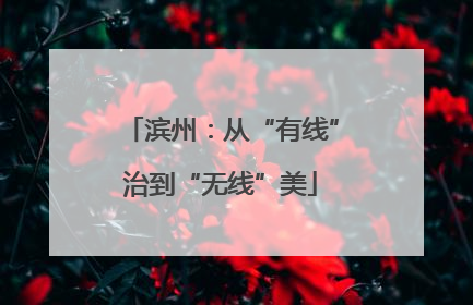 滨州：从“有线”治到“无线”美