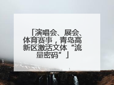 演唱会、展会、体育赛事，青岛高新区激活文体“流量密码”