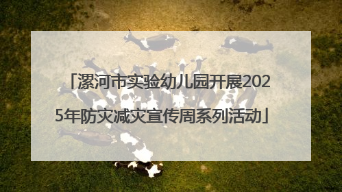 漯河市实验幼儿园开展2025年防灾减灾宣传周系列活动