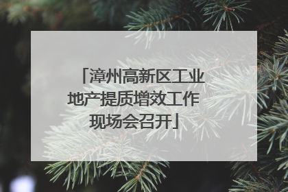 漳州高新区工业地产提质增效工作现场会召开