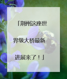 荆州这座世界级大桥最新进展来了！