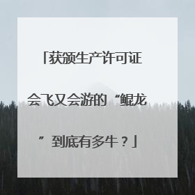 获颁生产许可证 会飞又会游的“鲲龙”到底有多牛？