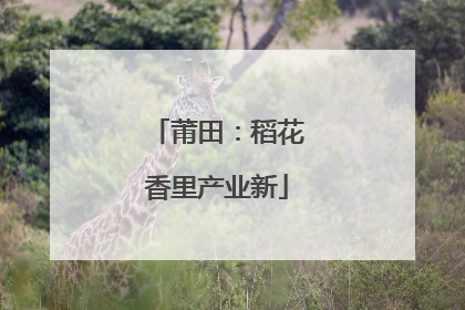 莆田：稻花香里产业新