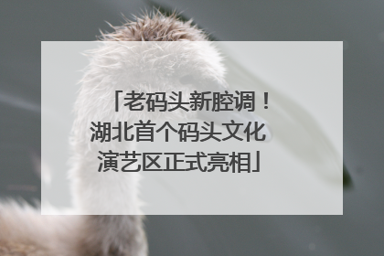 老码头新腔调！湖北首个码头文化演艺区正式亮相