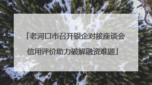 老河口市召开银企对接座谈会 信用评价助力破解融资难题
