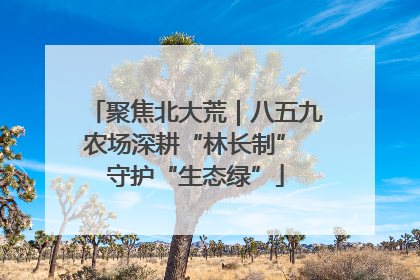 聚焦北大荒｜八五九农场深耕“林长制” 守护“生态绿”