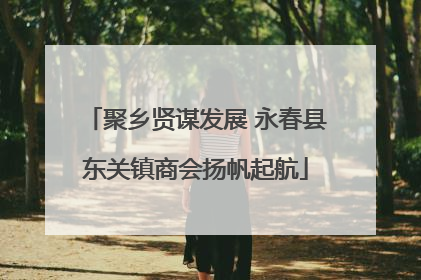 聚乡贤谋发展 永春县东关镇商会扬帆起航