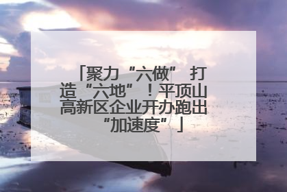 聚力“六做” 打造“六地”！平顶山高新区企业开办跑出“加速度”