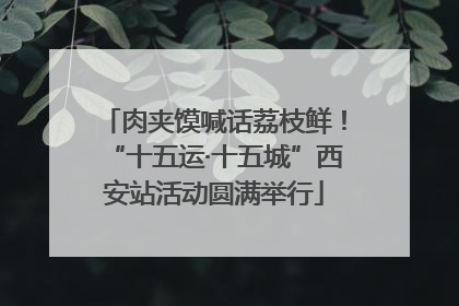 肉夹馍喊话荔枝鲜！“十五运·十五城”西安站活动圆满举行