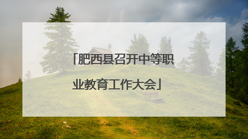 肥西县召开中等职业教育工作大会