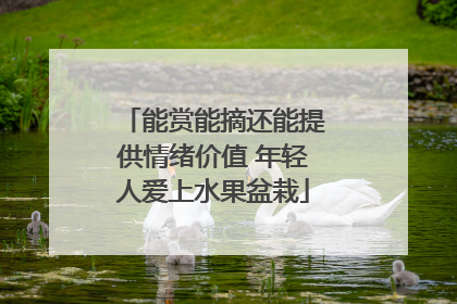 能赏能摘还能提供情绪价值 年轻人爱上水果盆栽