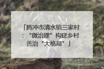 腾冲市清水镇三家村：“微治理”构建乡村善治“大格局”