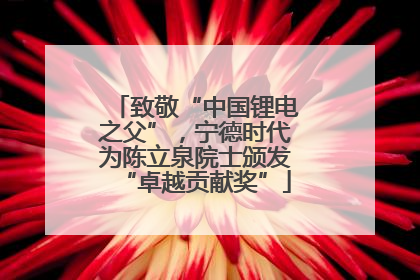 致敬“中国锂电之父”，宁德时代为陈立泉院士颁发“卓越贡献奖”