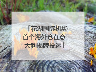 花湖国际机场首个海外仓在意大利揭牌投运