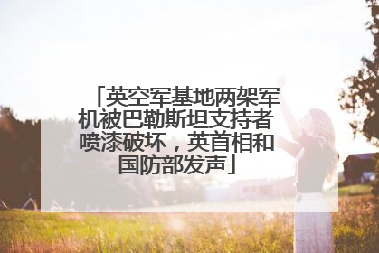 英空军基地两架军机被巴勒斯坦支持者喷漆破坏，英首相和国防部发声