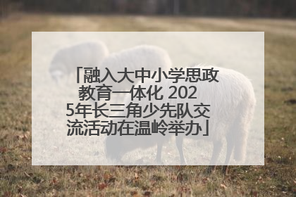 融入大中小学思政教育一体化 2025年长三角少先队交流活动在温岭举办