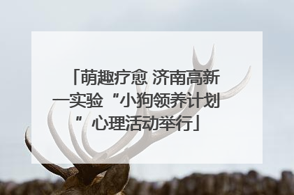 萌趣疗愈 济南高新一实验“小狗领养计划”心理活动举行