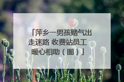 萍乡一男孩赌气出走迷路 收费站员工暖心相助（图）