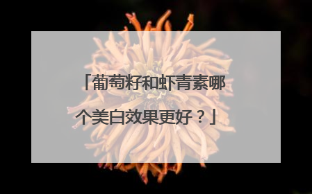葡萄籽和虾青素哪个美白效果更好？
