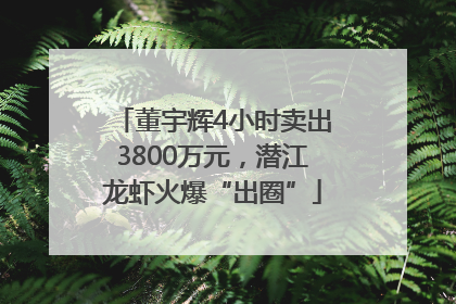董宇辉4小时卖出3800万元，潜江龙虾火爆“出圈”