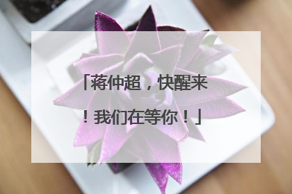 蒋仲超，快醒来！我们在等你！