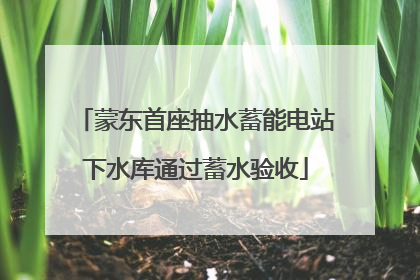 蒙东首座抽水蓄能电站下水库通过蓄水验收