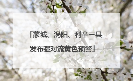蒙城、涡阳、利辛三县发布强对流黄色预警