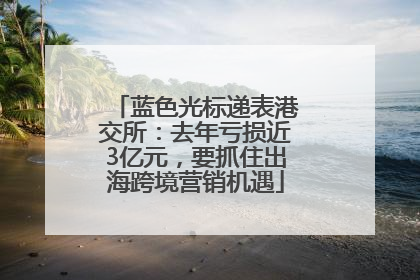 蓝色光标递表港交所：去年亏损近3亿元，要抓住出海跨境营销机遇