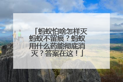蚂蚁怕啥怎样灭蚂蚁不留痕？蚂蚁用什么药能彻底消灭？答案在这！