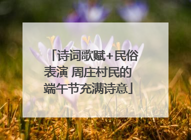 诗词歌赋+民俗表演 周庄村民的端午节充满诗意