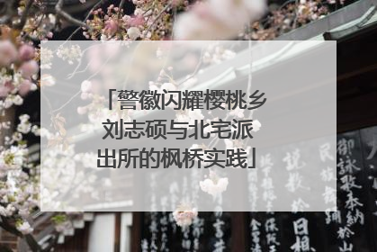 警徽闪耀樱桃乡 刘志硕与北宅派出所的枫桥实践