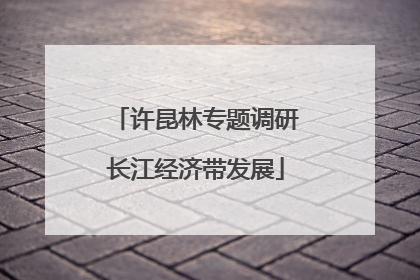 许昆林专题调研长江经济带发展