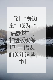 让“身边案”成为“活教材”、非遗版权保护……代表们关注这些事
